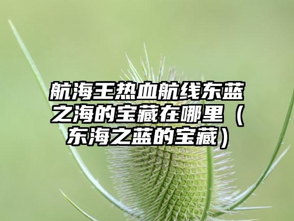 航海王热血航线东蓝之海的宝藏在哪里（东海之蓝的宝藏）