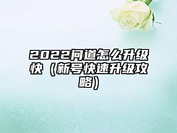 2022问道怎么升级快（新号快速升级攻略）