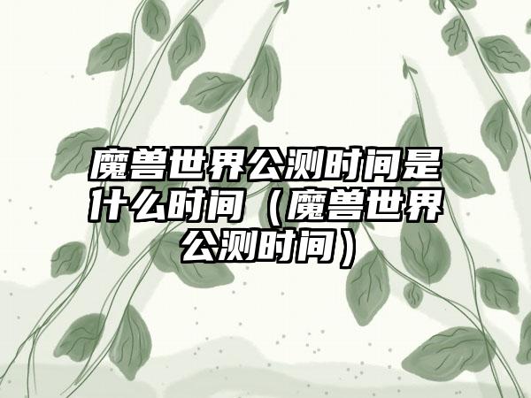 魔兽世界公测时间是什么时间（魔兽世界公测时间）