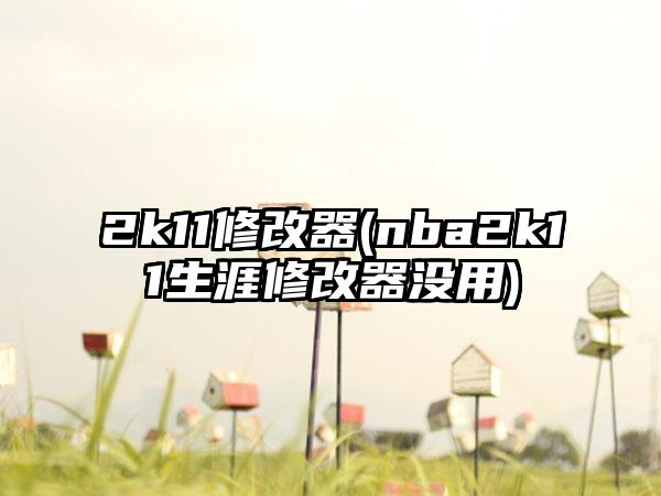 2k11修改器(nba2k11生涯修改器没用)