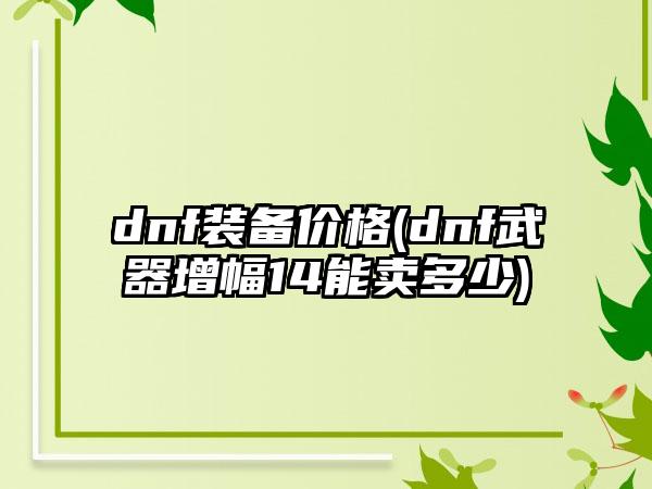 dnf装备价格(dnf武器增幅14能卖多少)