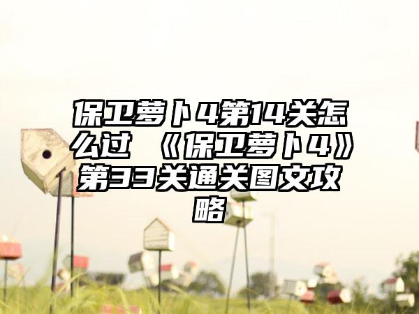 保卫萝卜4第14关怎么过 《保卫萝卜4》第33关通关图文攻略