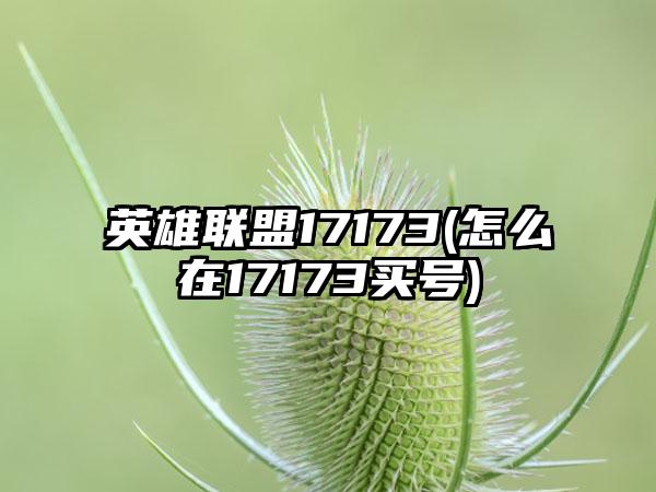 英雄联盟17173(怎么在17173买号)