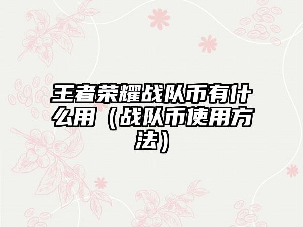 王者荣耀战队币有什么用（战队币使用方法）
