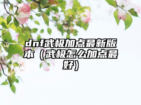 dnf武极加点最新版本（武极怎么加点最好）