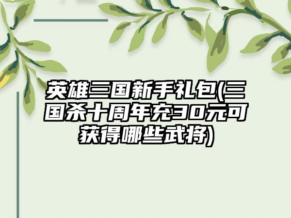英雄三国新手礼包(三国杀十周年充30元可获得哪些武将)