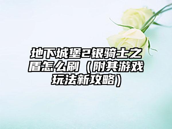 地下城堡2银骑士之盾怎么刷（附其游戏玩法新攻略）