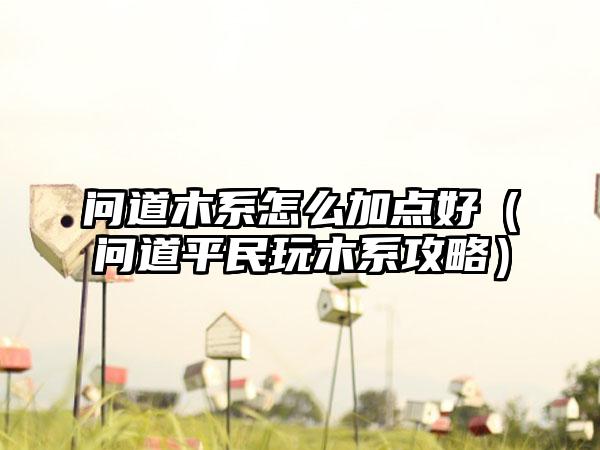 问道木系怎么加点好（问道平民玩木系攻略）