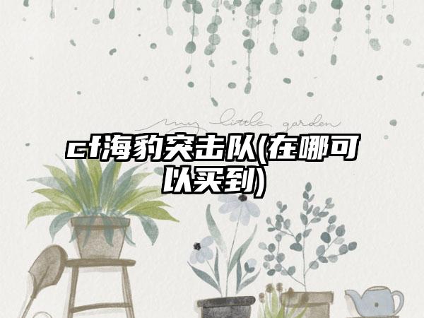 cf海豹突击队(在哪可以买到)