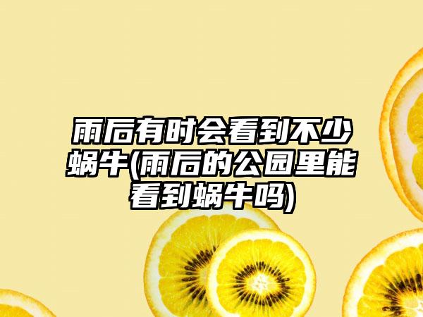 雨后有时会看到不少蜗牛(雨后的公园里能看到蜗牛吗)