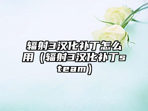 辐射3汉化补丁怎么用（辐射3汉化补丁steam）