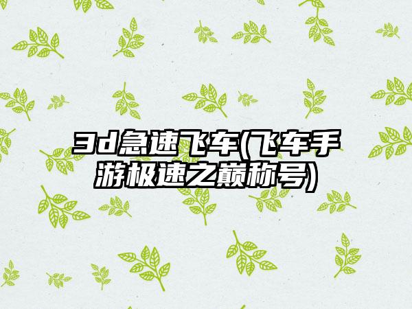 3d急速飞车(飞车手游极速之巅称号)