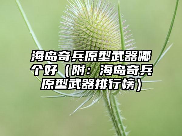 海岛奇兵原型武器哪个好（附：海岛奇兵原型武器排行榜）