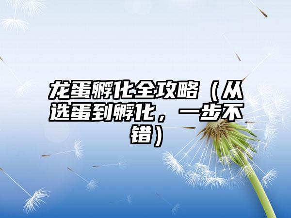 龙蛋孵化全攻略（从选蛋到孵化，一步不错）
