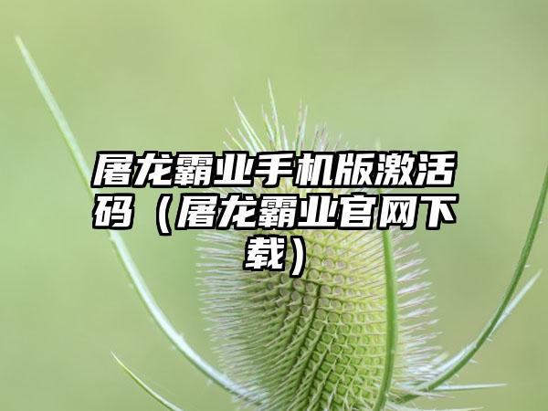 屠龙霸业手机版激活码（屠龙霸业）