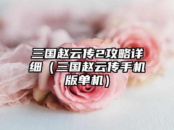 三国赵云传2攻略详细（三国赵云传手机版单机）