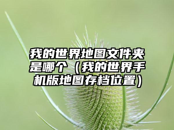 我的世界地图文件夹是哪个(我的世界手机版地图存档位置)