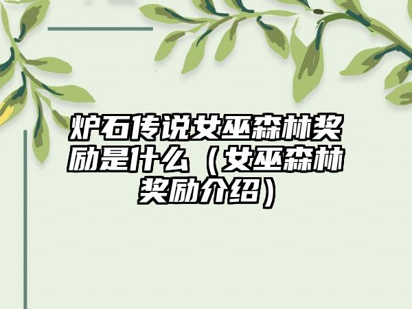 炉石传说女巫森林奖励是什么（女巫森林奖励介绍）