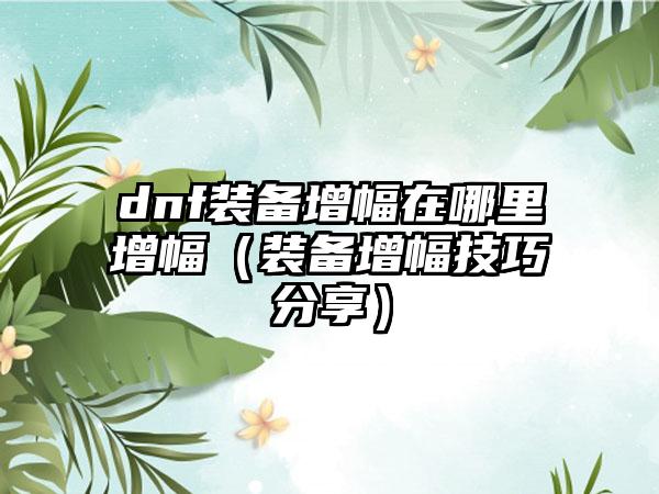 dnf装备增幅在哪里增幅（装备增幅技巧分享）