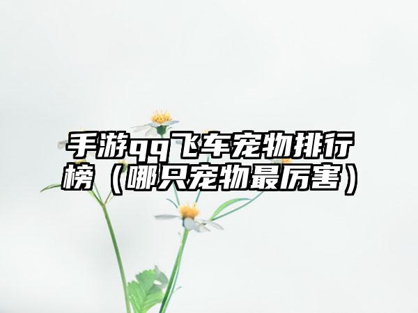 手游qq飞车宠物排行榜（哪只宠物最厉害）