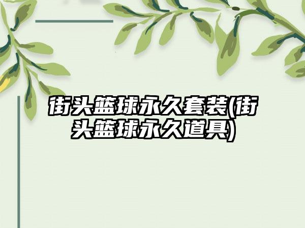 街头篮球永久套装(街头篮球永久道具)