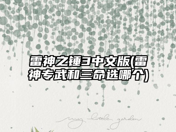 雷神之锤3中文版(雷神专武和三命选哪个)