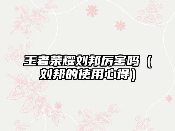 王者荣耀刘邦厉害吗（刘邦的使用心得）