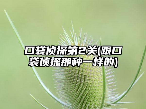 口袋侦探第2关(跟口袋侦探那种一样的)