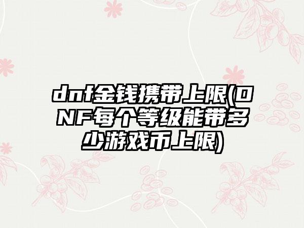 dnf金钱携带上限(DNF每个等级能带多少游戏币上限)