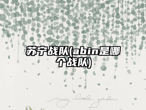苏宁战队(abin是哪个战队)