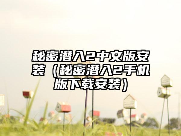秘密潜入2中文版安装（秘密潜入2手机版安装）