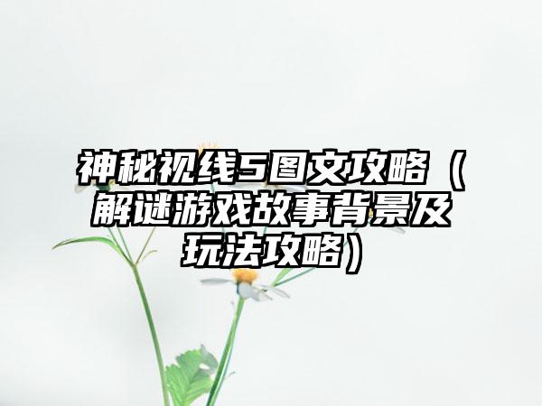神秘视线5图文攻略（解谜游戏故事背景及玩法攻略）