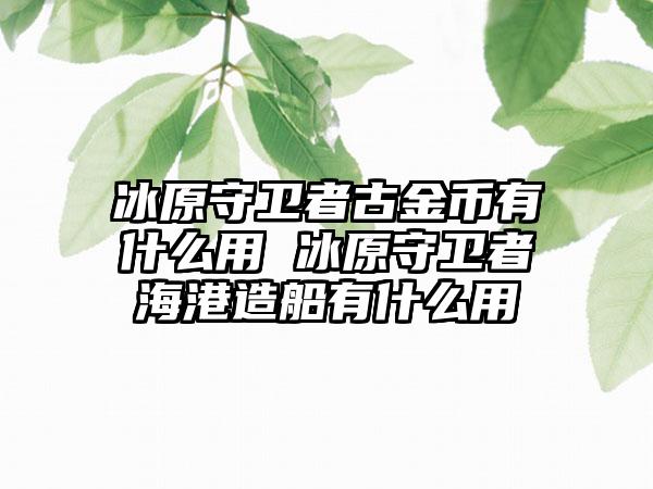 冰原守卫者古金币有什么用 冰原守卫者海港造船有什么用