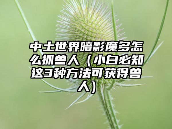 中土世界暗影魔多怎么抓兽人（小白必知这3种方法可获得兽人）