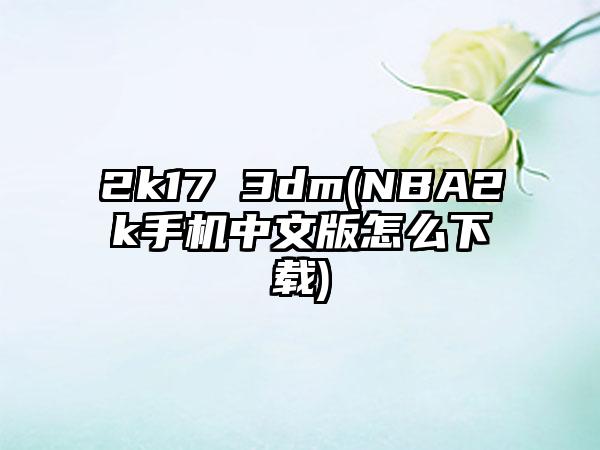 2k17 3dm(NBA2k手机中文版怎么)