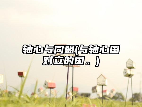 轴心与同盟(与轴心国对立的国。)