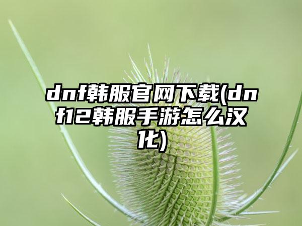 dnf韩服(dnf12韩服手游怎么汉化)