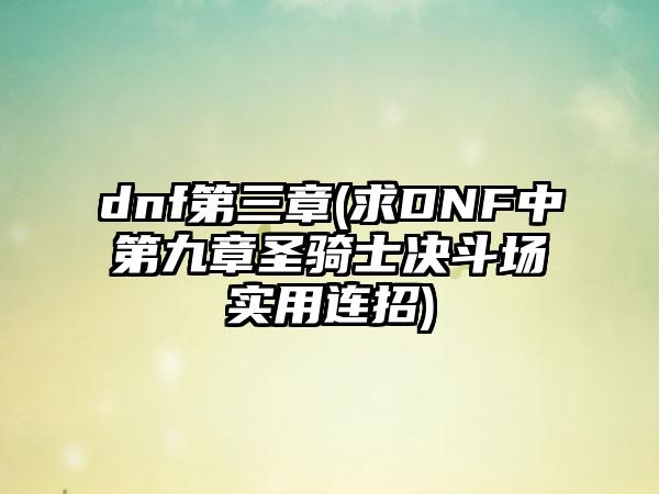 dnf第三章(求DNF中第九章圣骑士决斗场实用连招)