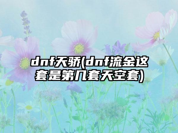 dnf天骄(dnf流金这套是第几套天空套)