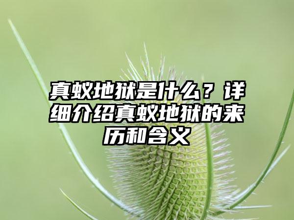 真蚁地狱是什么?详细介绍真蚁地狱的来历和含义