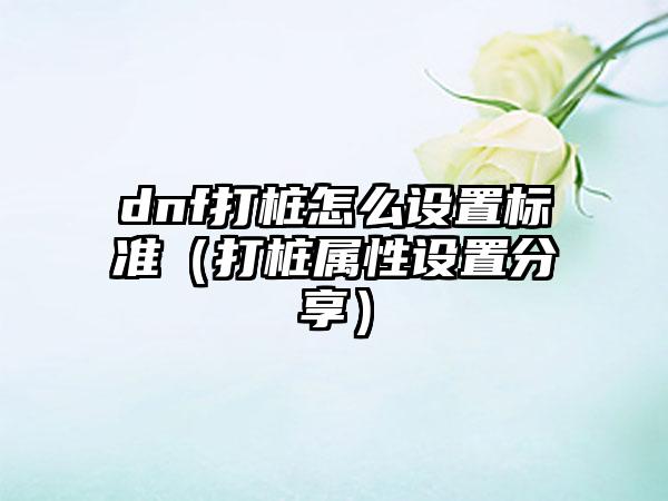 dnf打桩怎么设置标准（打桩属性设置分享）