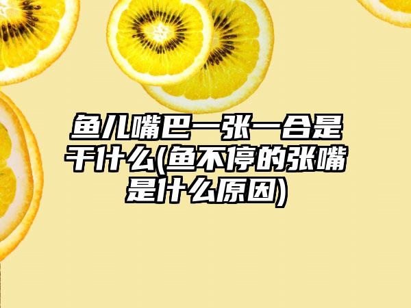 鱼儿嘴巴一张一合是干什么(鱼不停的张嘴是什么原因)