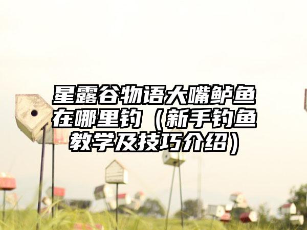 星露谷物语大嘴鲈鱼在哪里钓（新手钓鱼教学及技巧介绍）