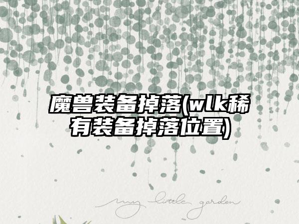 魔兽装备掉落(wlk稀有装备掉落位置)