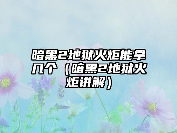 暗黑2地狱火炬能拿几个（暗黑2地狱火炬讲解）