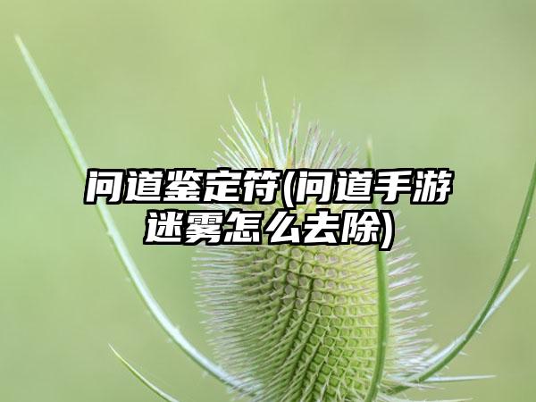问道鉴定符(问道手游迷雾怎么去除)