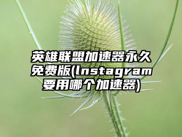 英雄联盟加速器永久免费版(lnstagram要用哪个加速器)