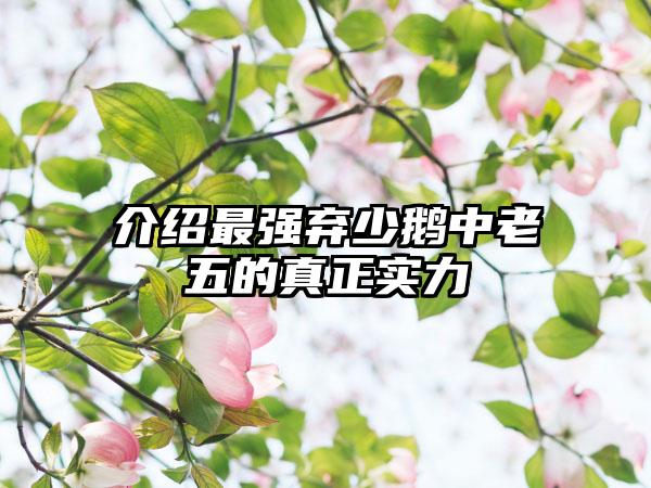介绍最强弃少鹅中老五的真正实力