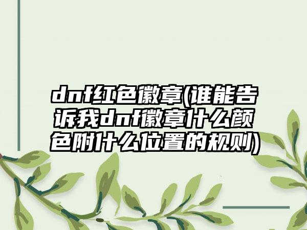 dnf红色徽章(谁能告诉我dnf徽章什么颜色附什么位置的规则)