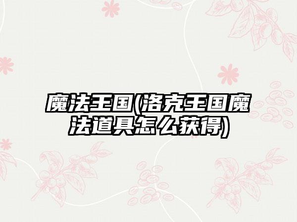 魔法王国(洛克王国魔法道具怎么获得)